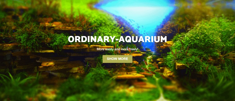 ordinary-aquarium